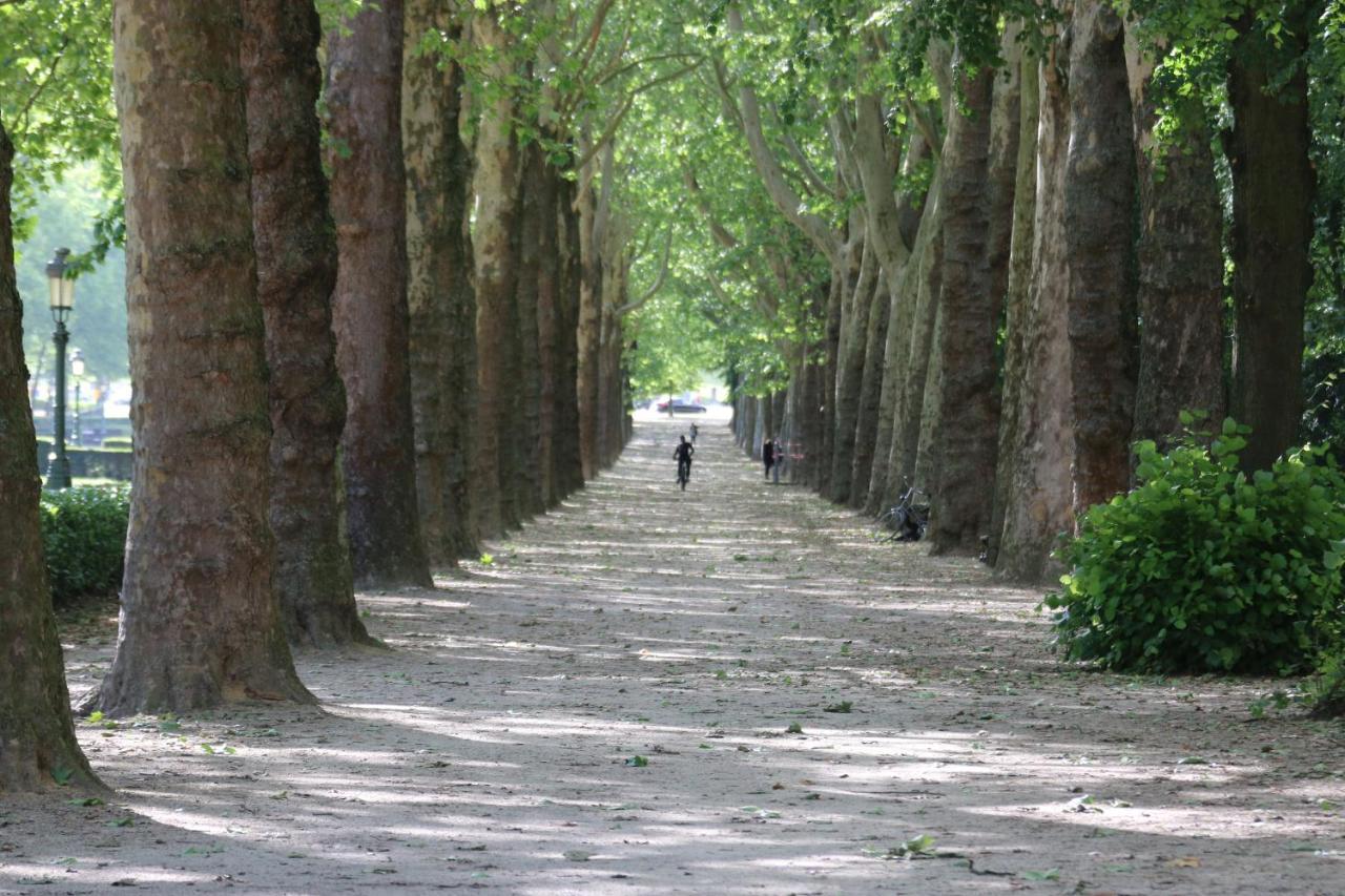 B&B Les Iris Brussels Ngoại thất bức ảnh